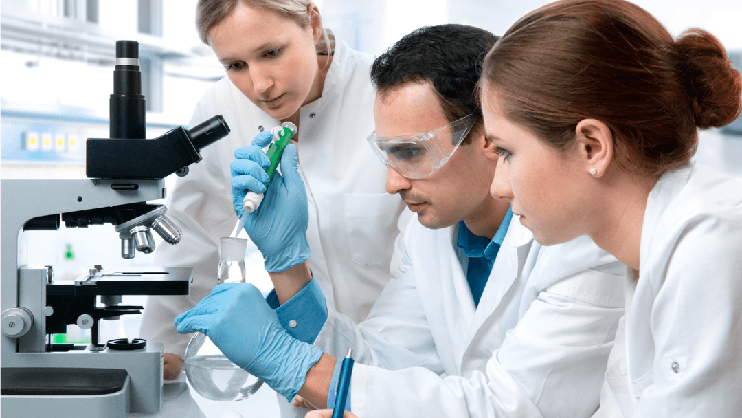 【理系院生就職】医療の道を捨てプログラマーに～10年後のいま思うこと